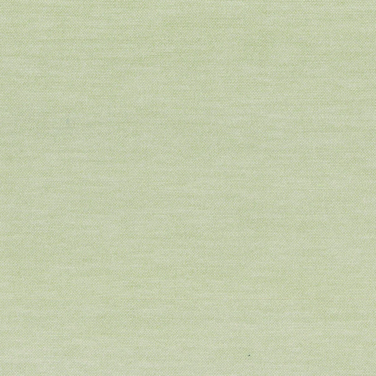 Braga Beige
